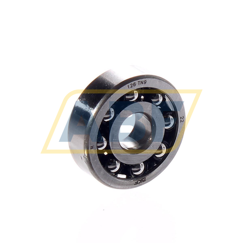 126 TN9 SKF