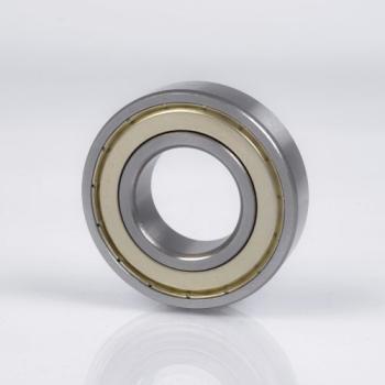 6210-Z SKF