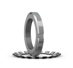 AN 24 SKF