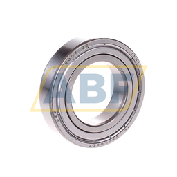 6007-2Z SKF